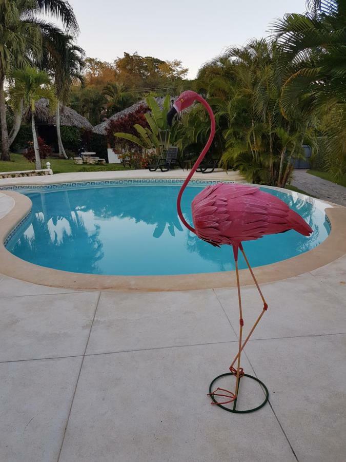 라스테레나스 Casa Flamingo 빌라 외부 사진