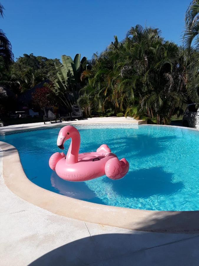 라스테레나스 Casa Flamingo 빌라 외부 사진